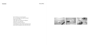 birdlife with poetry and writing by Nyanda Smith, Nandi Chinna, Michael Farrell, Graeme Miles and photographs and drawings by Perdita Phillips (page 6-7)